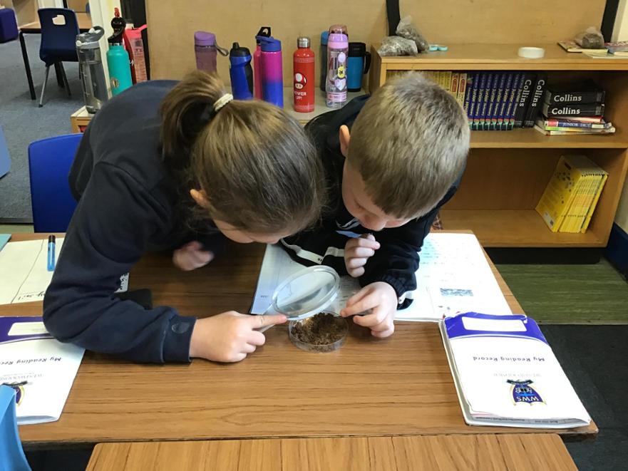y3 soils investigation